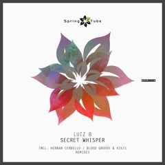 Luiz B - Secret Whisper (Blood Groove & Kikis Remix)