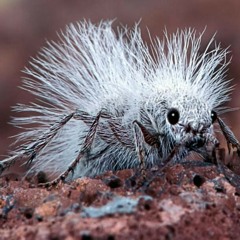 ("Here It Goes Again REMIX") Remix~By~LYRICAL~Millz  at Denver,Colorado