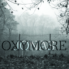 10 COMPORTEMENT A RISQUE (avec Gaël Faye, Rox et Edgar Sekloka) 3:53