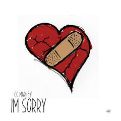 I'm Sorry (Prod. by Mj Nichols)