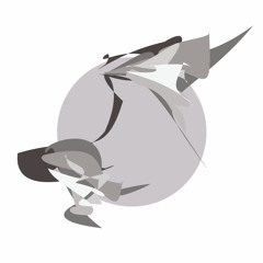 still life - granular events in minimal landscape