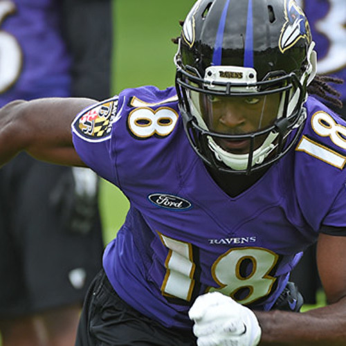 Stream Drafting Wide Receivers by Fanimal Radio Listen online for