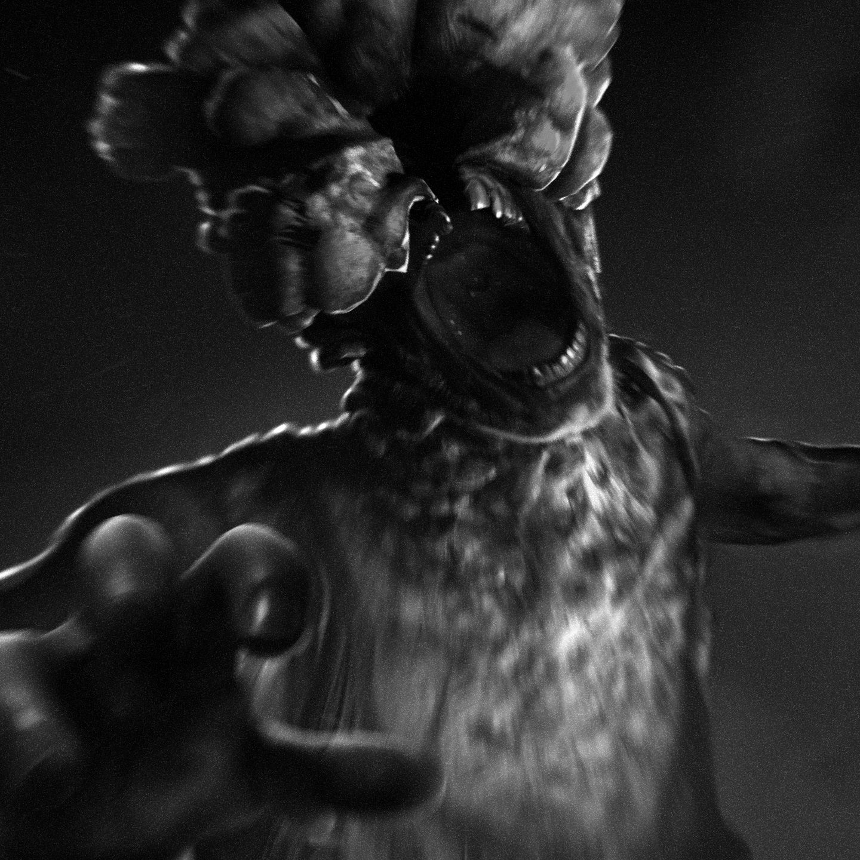Spiety ♫ Beats