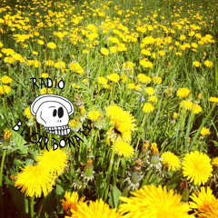 Le coup de coeur des bénévoles du festi'Val d'Olt