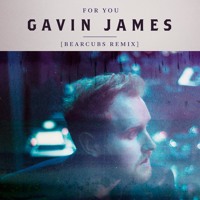 Gavin James - For You (Bearcubs Remix)