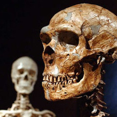 Neandertal (Simiocida Version)