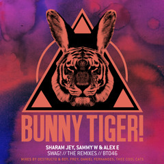 Sharam Jey, Sammy W & Alex E - SWAG! (Daniel Fernandes Remix) OUT NOW!!!