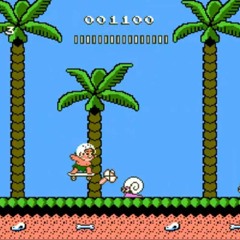 NReesAdventureIslandVideoGame