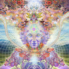 S.Universe