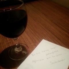 Hüsnü Arkan - Düşler Sokağı at Ezginin Günlüğü