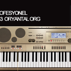 Casio AT3 - Arabic/Oriental sounds demo #2 - Glanza's studio