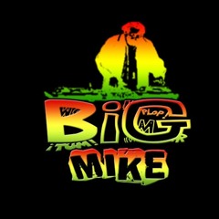 DJ BIG MIKE - MIX ViralPartyQUIBDÓ (ComingSoon)
