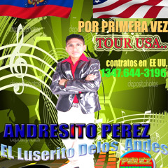 ANDRESITO PEREZ  EL LUCERITO DELOS ANDES TEMA  SUEGRITA INGRATA