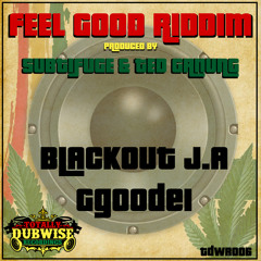 Ggoodei │Im Feeling│Subtifuge & Ted Ganung│Feel Good Riddim