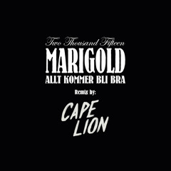 Allt Kommer Bli Bra (Cape Lion Remix)