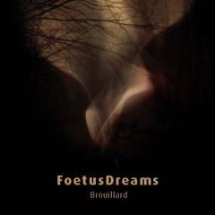 FoetusDreams 'Brouillard' CD Sampler ft all tracks
