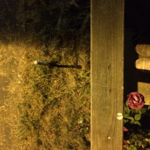 Stream Campbell Thibo sings Chimes Of Freedom Flashing by Porchlit