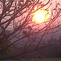 Woke Up This Morning - Tim Wells Blues Band