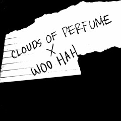 Clouds Of Perfume X Busta Rhymes - Woo Hah!! (Got You All In Check)