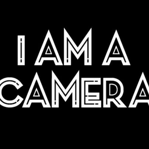 I Am A Camera - Lost In Love  (Digital Farm Animals Remix)