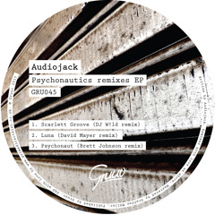 Audiojack - Luna (David Mayer remix)