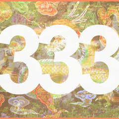 333 (2008)