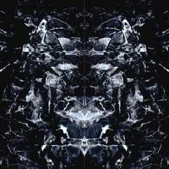 NOCTURNAL CARRIAGE (album version)