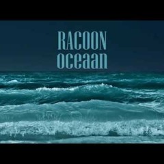Racoon - Oceaan (Paul Hoorweg COVER)