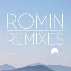 Romin - Wasted (Did Virgo Rmx) OUT NOW!