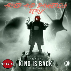 [TGS Premiere] Snails Ft Big Ali- King Is Back (Armed & Dangerou$ +2Fly Remix)