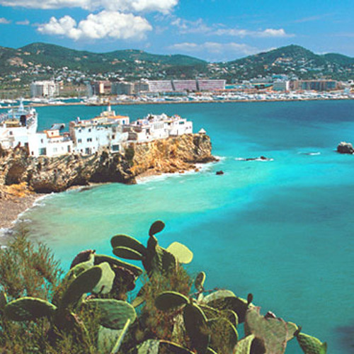 theyknowwhatiswhatbuttheydontknowwhatiswhat