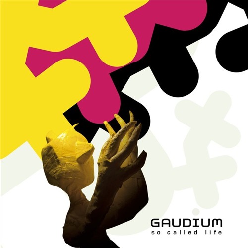 Imagination Nation, Gaudium (Iboga Records)