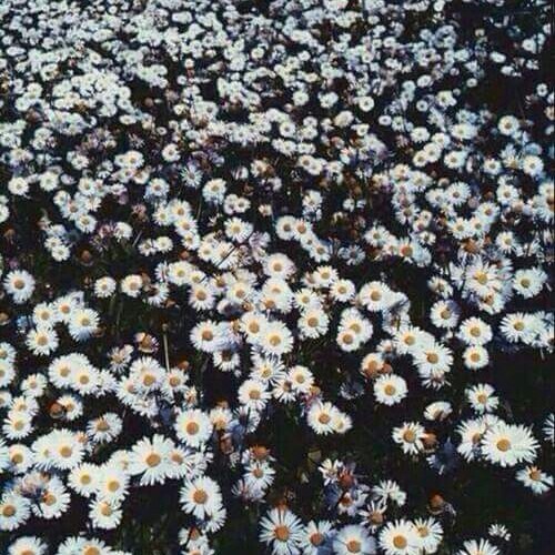 لسة جميلة :)