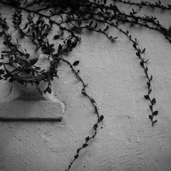 Over The Hills And Far Away (Traditional)