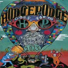 HAMSTA - HODGEPODGE DUBPLATE