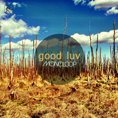 Monoloop - Good Luv (Snippet)