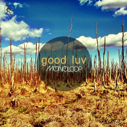 Monoloop - Good Luv (Snippet)