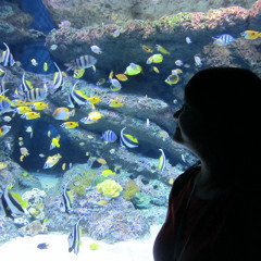 Urban Zakapa - 니가 싫어 (I Hate You)