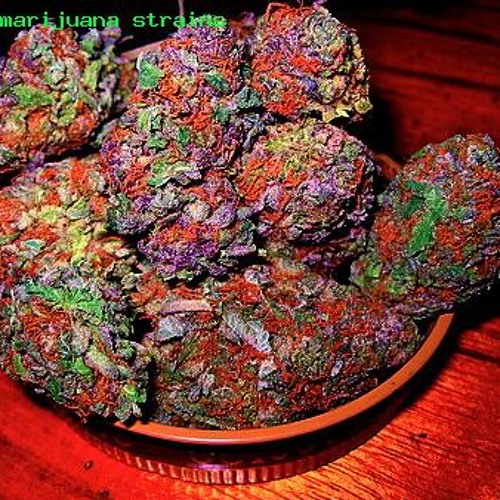 Quisylo - Wake And Bake Prod By: MixedBeats
