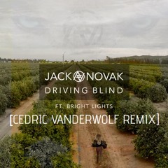 Jack Novak - Driving Blind [Cedric Vanderwolf Remix]