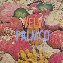 Palmco - Velv