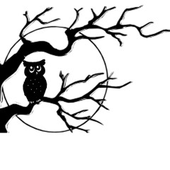 L'odeur De La Chouette.