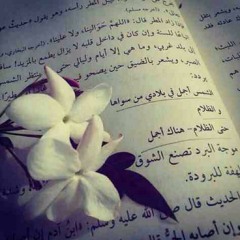 بكتب اسمك يا بلادي - ابو راتب