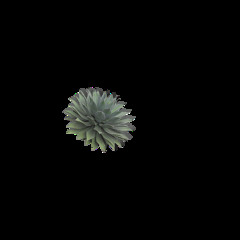 MOHAMMED ALIDU / AIKASO ( MURLO REMIX )