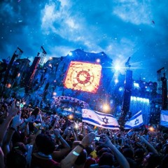 David Guetta Miami Ultra Music Festival 2015