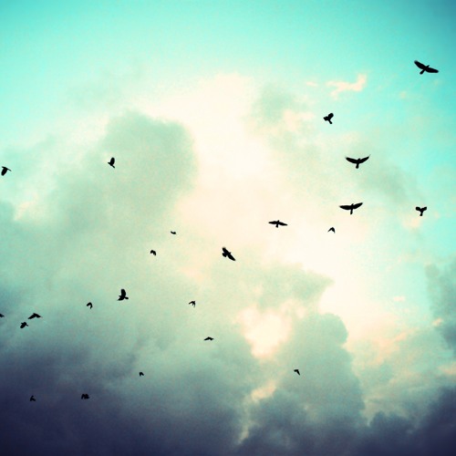 Devote