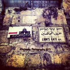 اناشيد
