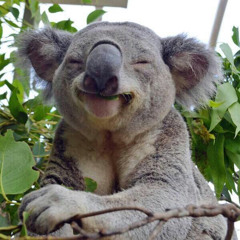 Stop Talking Please and Enjoy this.