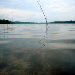 Reflections No. 1 -- viola + piano