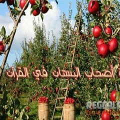 (خطبة الجمعة للشيخ/ محمود حسين (أصحاب الجنة